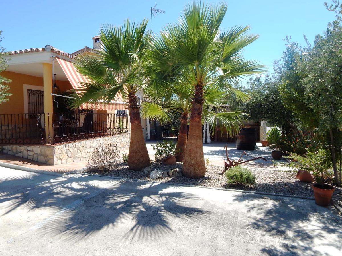 באנה Villa Maria - Pista De Padel Y Piscina מראה חיצוני תמונה